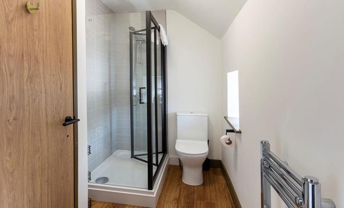 shower and toilet in bathroom